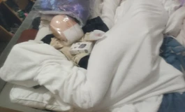 苏夜欢163开箱