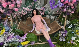 尤娜紫花相映