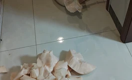 怎么打扮娃娃