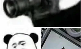 开箱📦 黑丝包臀裙 「配李娜东方161💗」