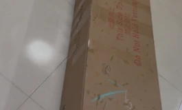 一号冰到家啦