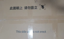 千面抱枕首发版测评
