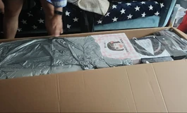 新娃开箱——SHEDOLL2.0艾琳头152硅胶体